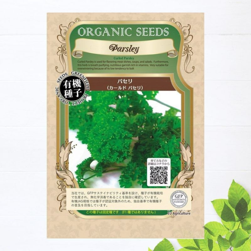 パセリ カールドパセリ 苗 販売 苗木部 By 花ひろばオンライン