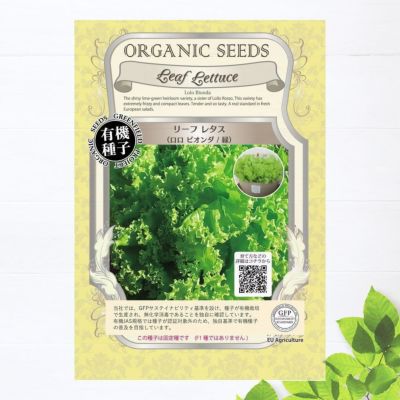 結球レタスの苗　400苗　品種「逸香」 結球レタスの苗 400苗 品種「逸香」 結球レタス サラダレタスの自然栽培