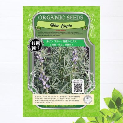 有機種子 ルピンブルー 青花ルピナス 緑肥 牧草 景観用 Sサイズ 30g 約2粒 種蒔時期 3 6月 9 10月 苗木部 本店 By 花ひろばオンライン 有機種子 ルピンブルー 青花ルピナス 緑肥 牧草 景観用 Sサイズ 30g 約2粒 種蒔時期 3 6月 9 10月 苗木部 本店 By 花ひろばオンライン