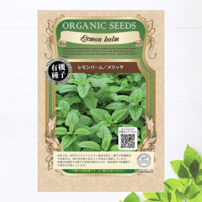 水菜商品 水菜 水菜 苗 販売 苗木部 By 花ひろばオンライン