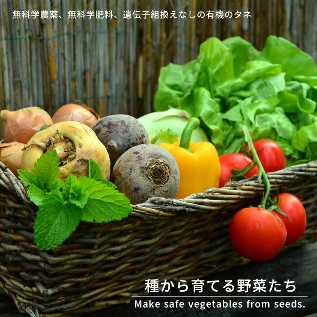 新品 ブロッコリー4kg箱