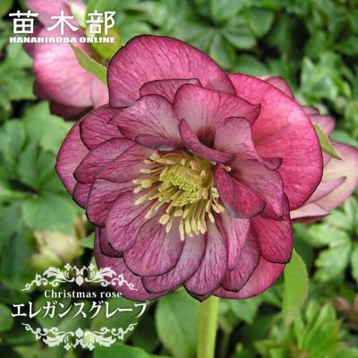 000000048179-01-m.jpg?t=