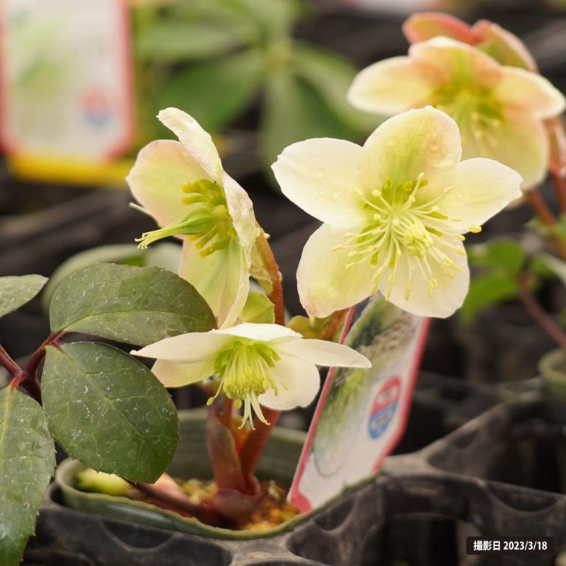 000000048199-05-l.jpg?t=