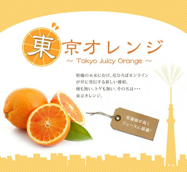 かんきつ中間母本農6号 オレンジ 苗 おすすめ 苗木部 By 花ひろば