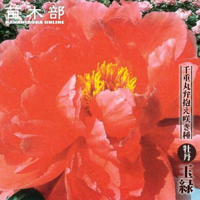 000000049709-01-m.jpg?t=