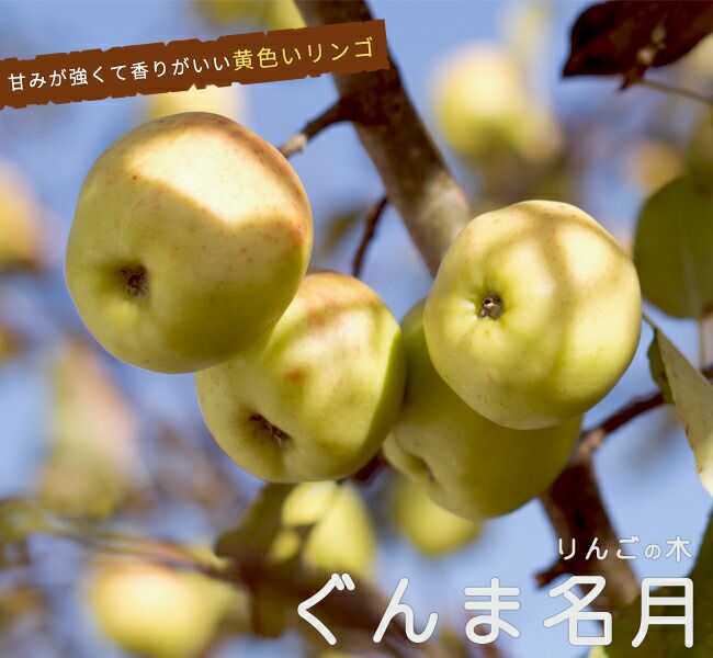 000000050046-01-l.jpg?t=