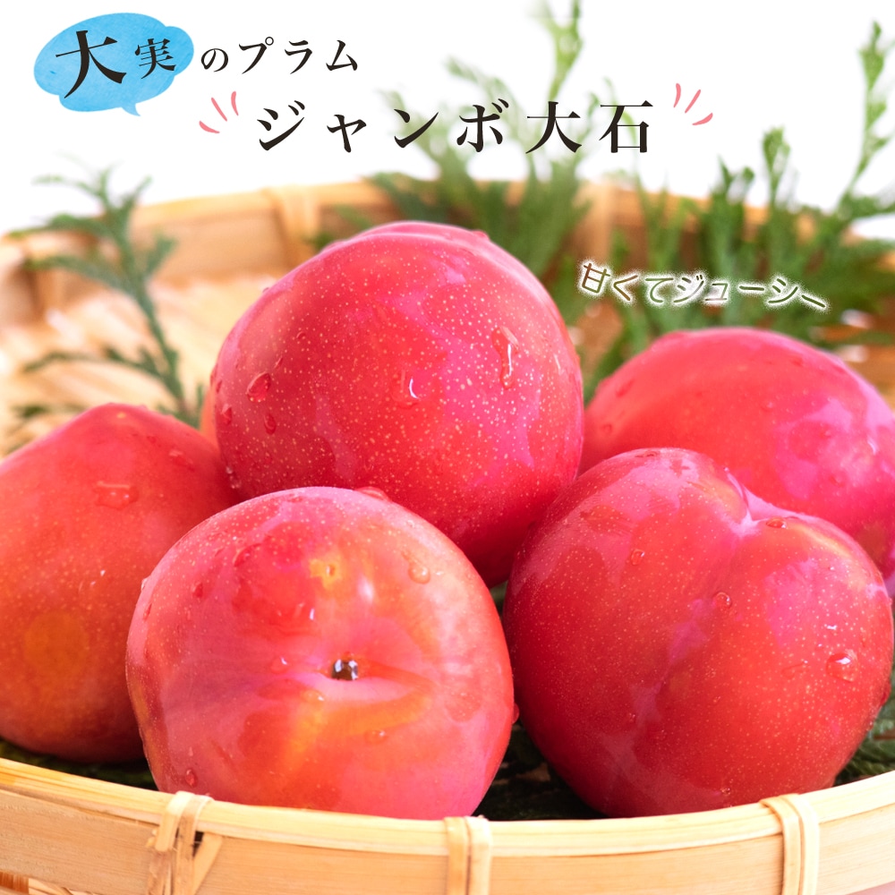 椿 紅 苗 苗木部 By 花ひろばオンライン