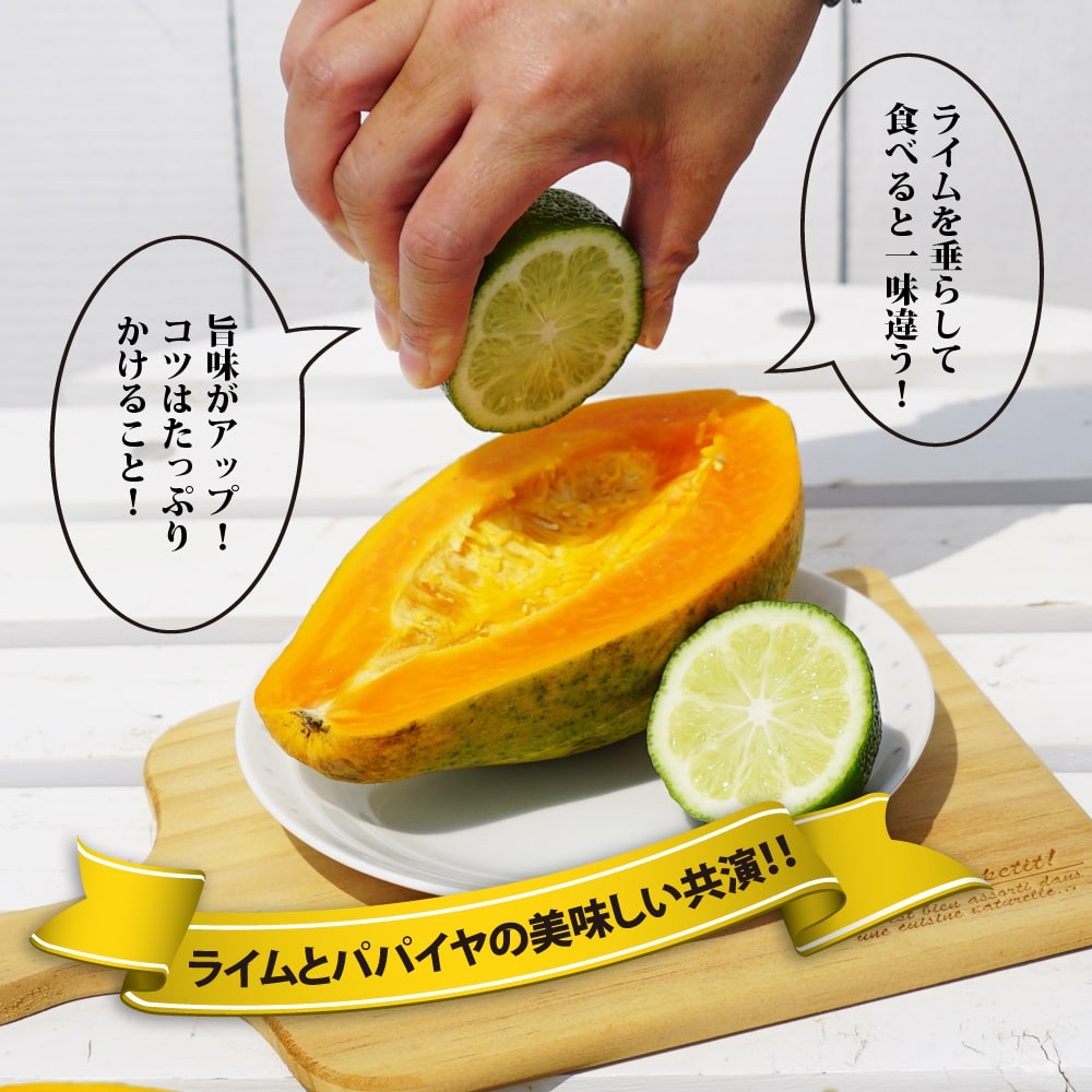 パパイヤ フルーツパパイヤ 石垣珊瑚 苗 販売 苗木部 By 花ひろば