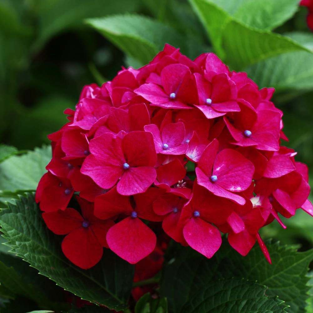 000000051399-07-l.jpg?t=