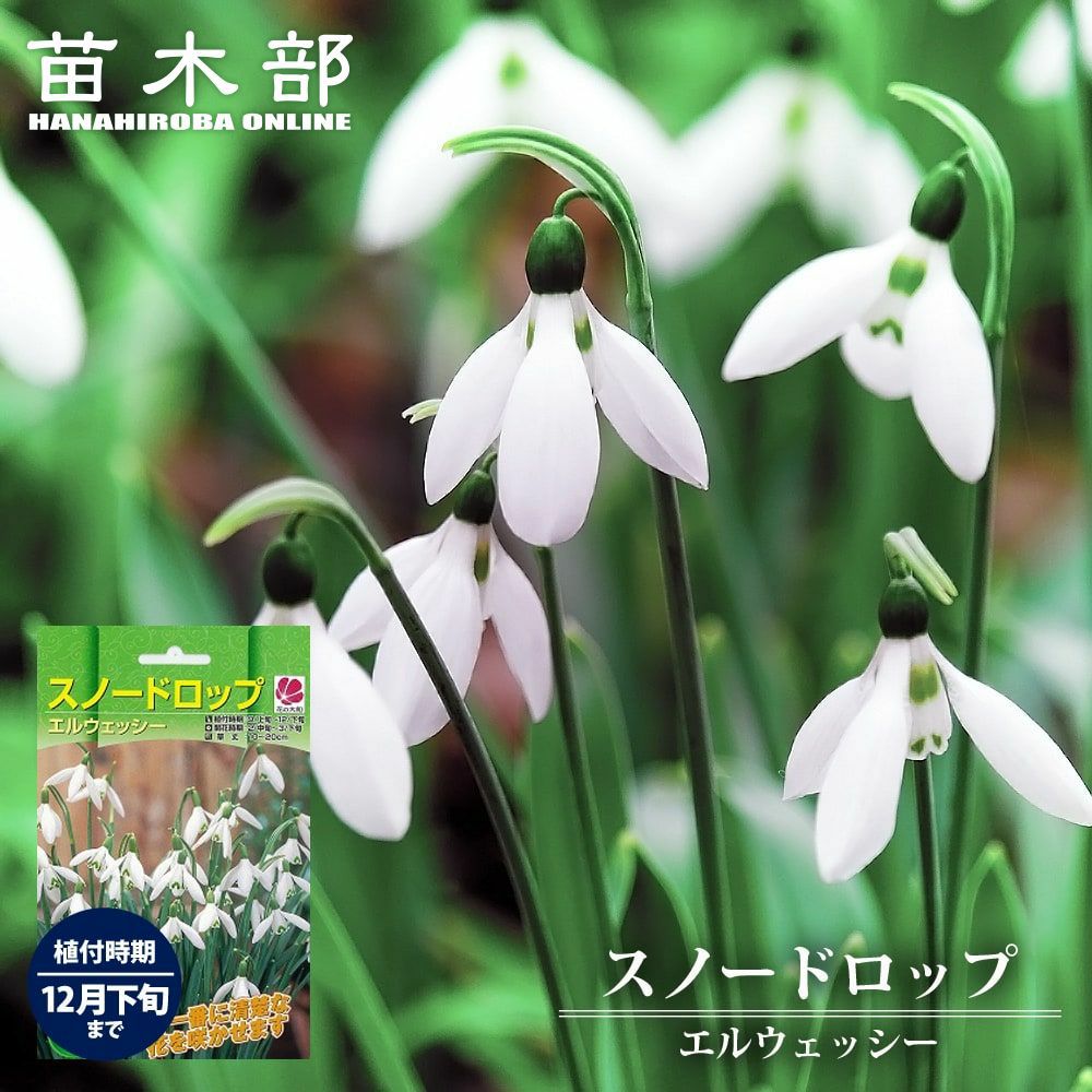 000000052426-01-l.jpg?t=