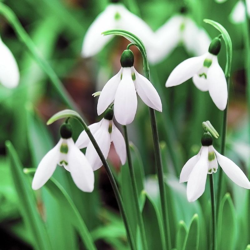 000000052426-03-l.jpg?t=