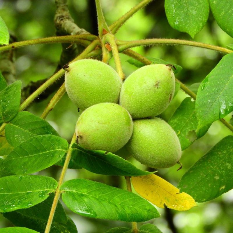 000000054273-06-l.jpg?t=