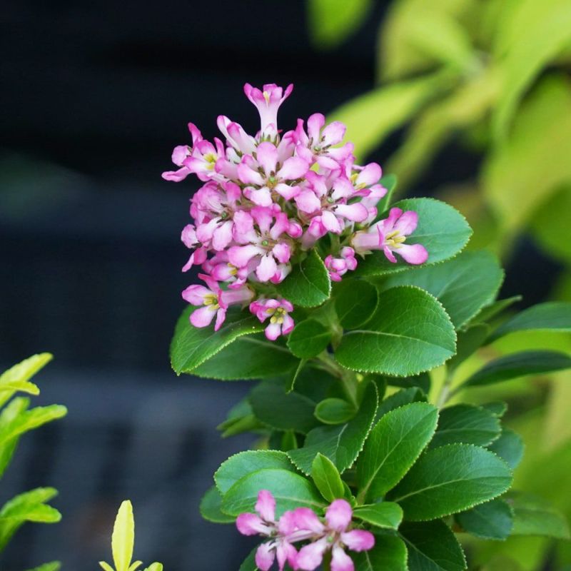 000000054502-05-l.jpg?t=