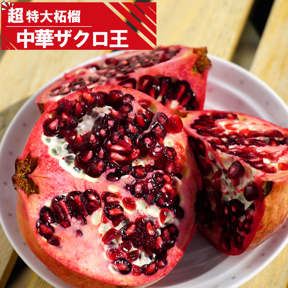 ザクロの苗木一覧 果樹苗専門店の通販 苗木部 By 花ひろばオンライン本店