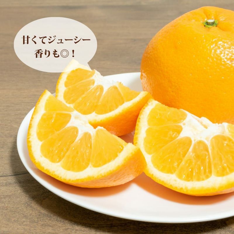 柑橘 いよかん 苗 育て方 苗木部 By 花ひろばオンライン