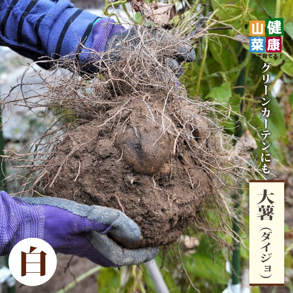 000000058229-01-l.jpg?t=