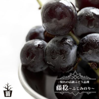 つる性植物の肥料 ぶどうがおいしくなる肥料 2kg 果樹の肥料 ブドウの好きな肥料 資材 果樹 肥料 ひりょう 有機肥料 苗木部 本店 By 花ひろばオンライン