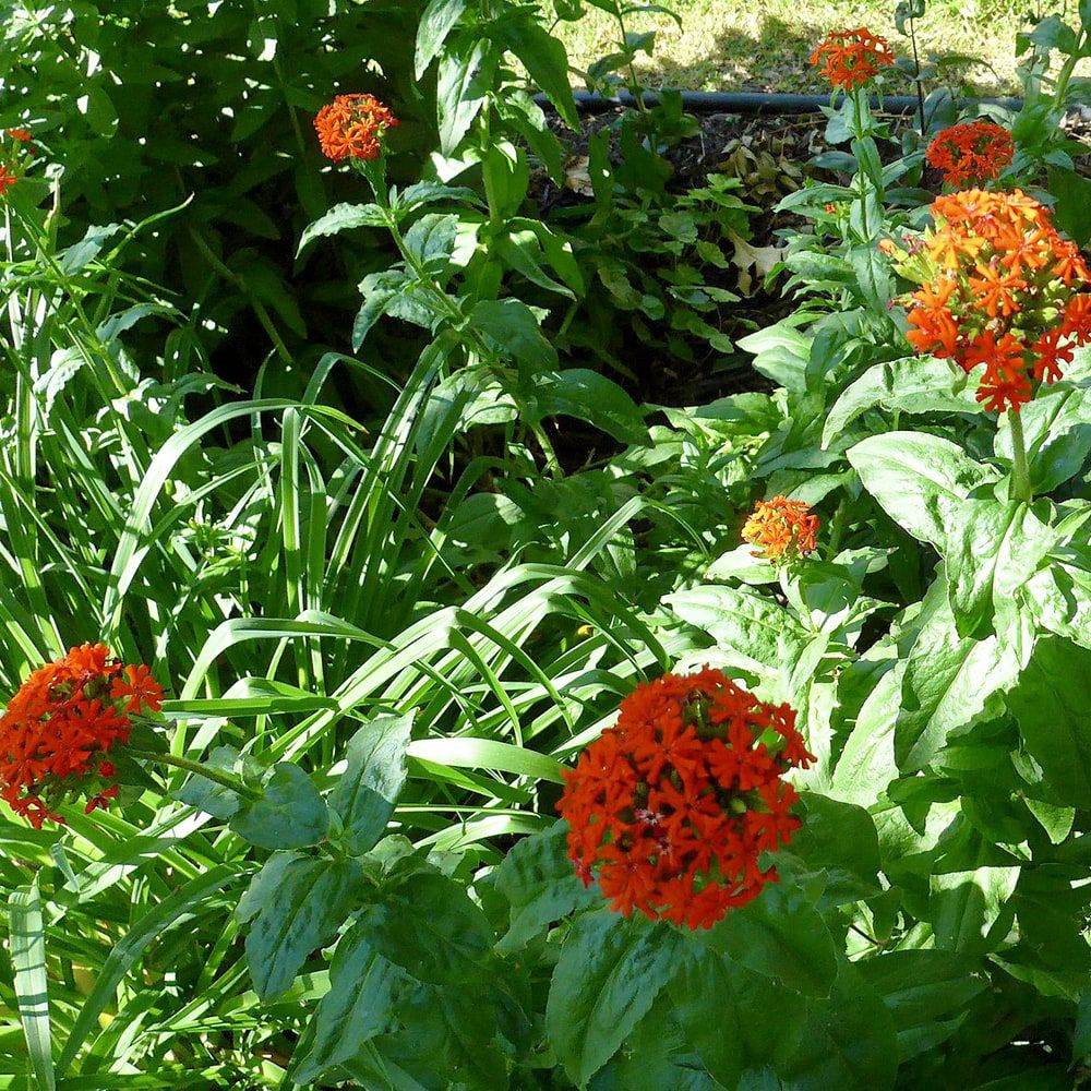 000000061405-02-l.jpg?t=