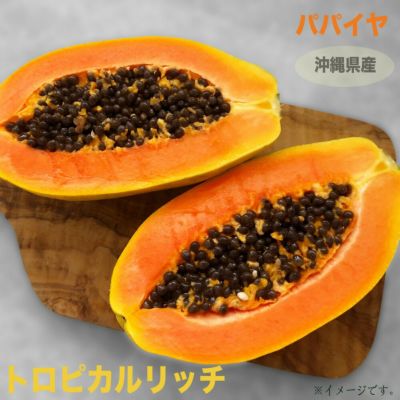 パパイヤ種子（タネ）　品種名　リオグランデ　10g（約650粒） パパイヤ種子（タネ） 品種名 リオグランデ 10g（約650粒）