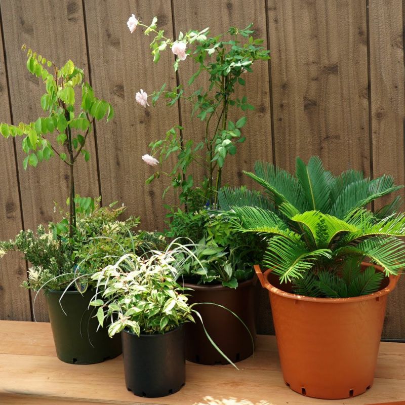 N/OH × BOTANIZE marble SSサイズ/中古品 植木鉢 N/OH × BOTANIZE