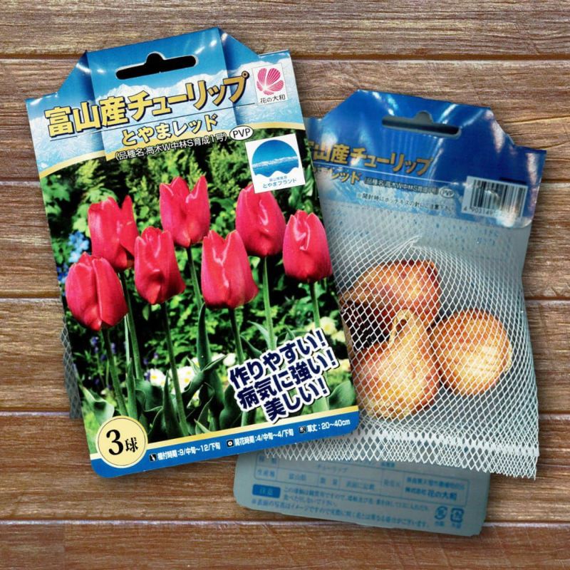 激レア！ 富山 チューリップ リラクマ キイロイトリ ストラップ