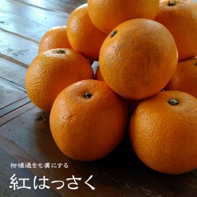 市場 runaさま専用 津之輝 3年生 苗木 | www.kunalsf1blog.com