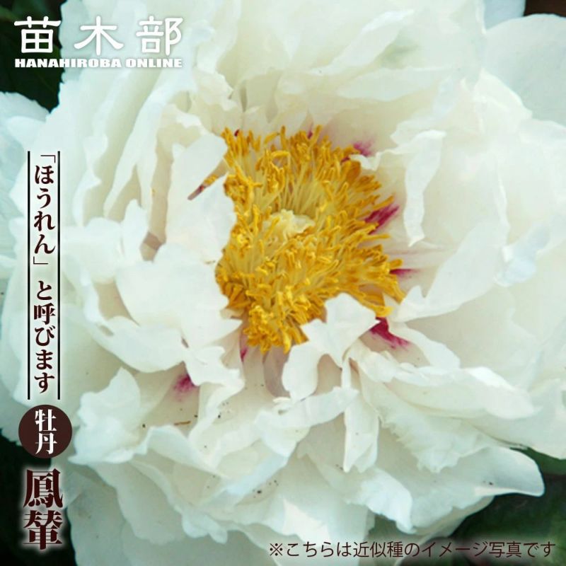 000000066534-01-l.jpg?t=