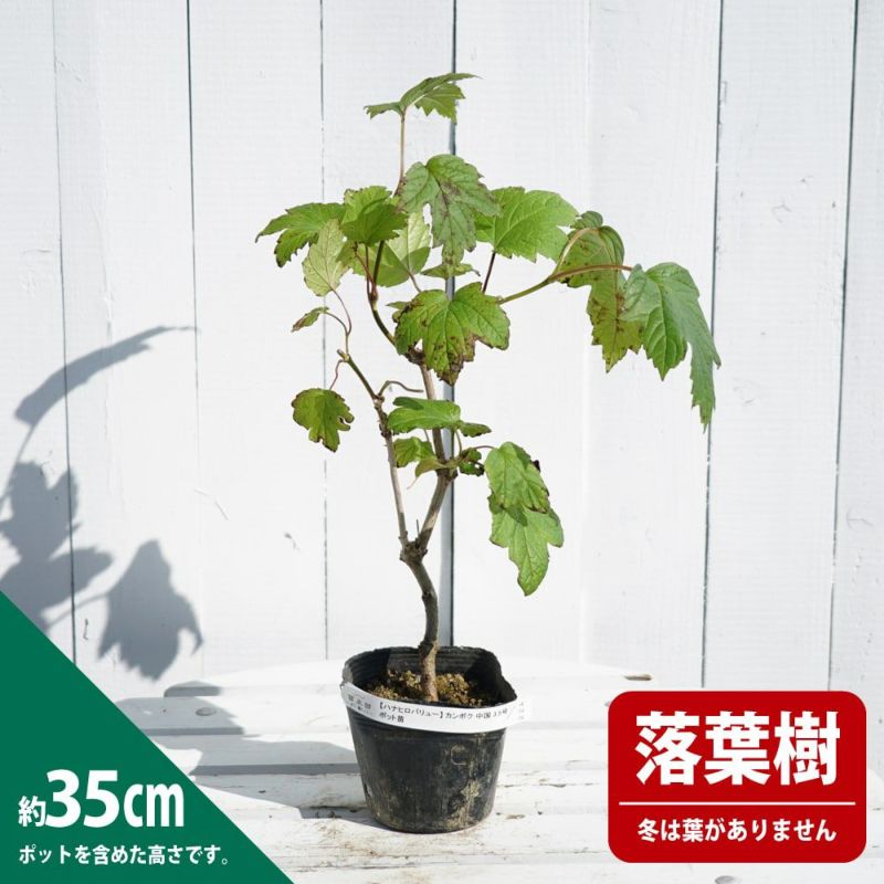 000000067754-07-l.jpg?t=