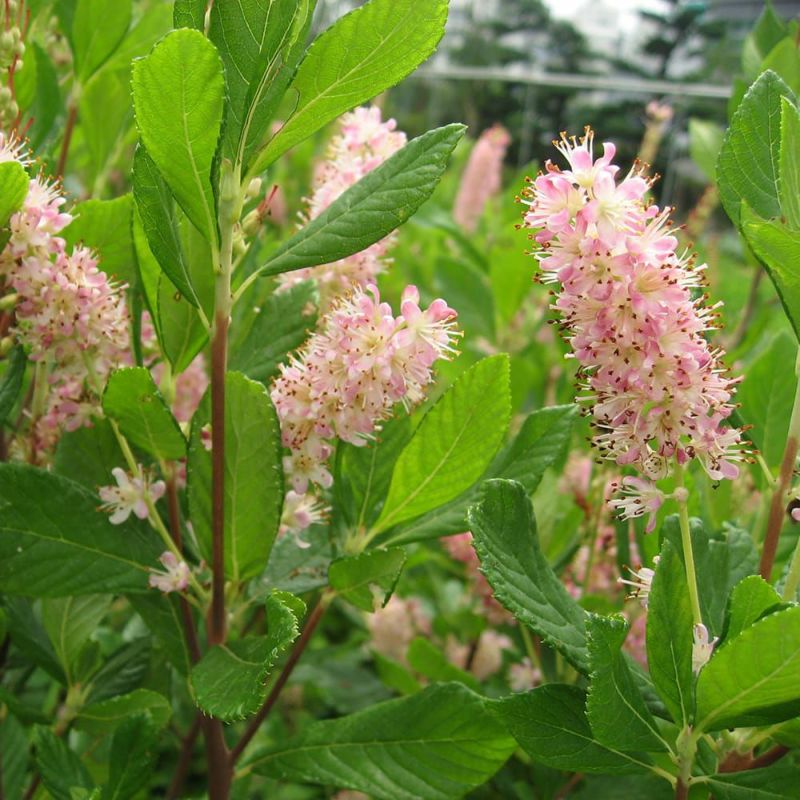 000000069803-03-l.jpg?t=