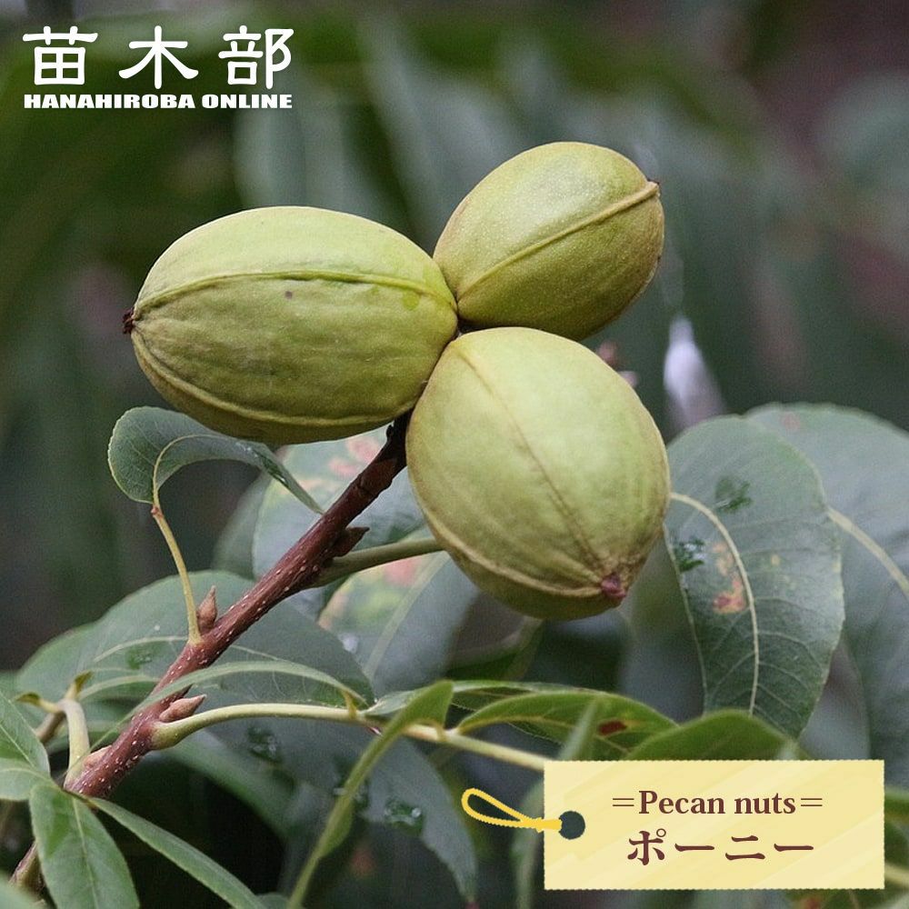 000000071799-01-l.jpg?t=