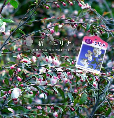 000000072467-01-m.jpg?t=