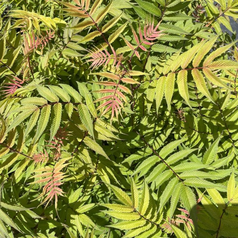 000000074572-02-l.jpg?t=