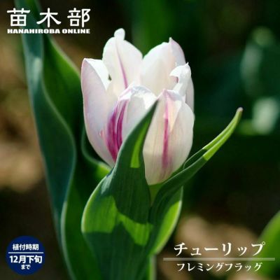 000000075734-01-m.jpg?t=