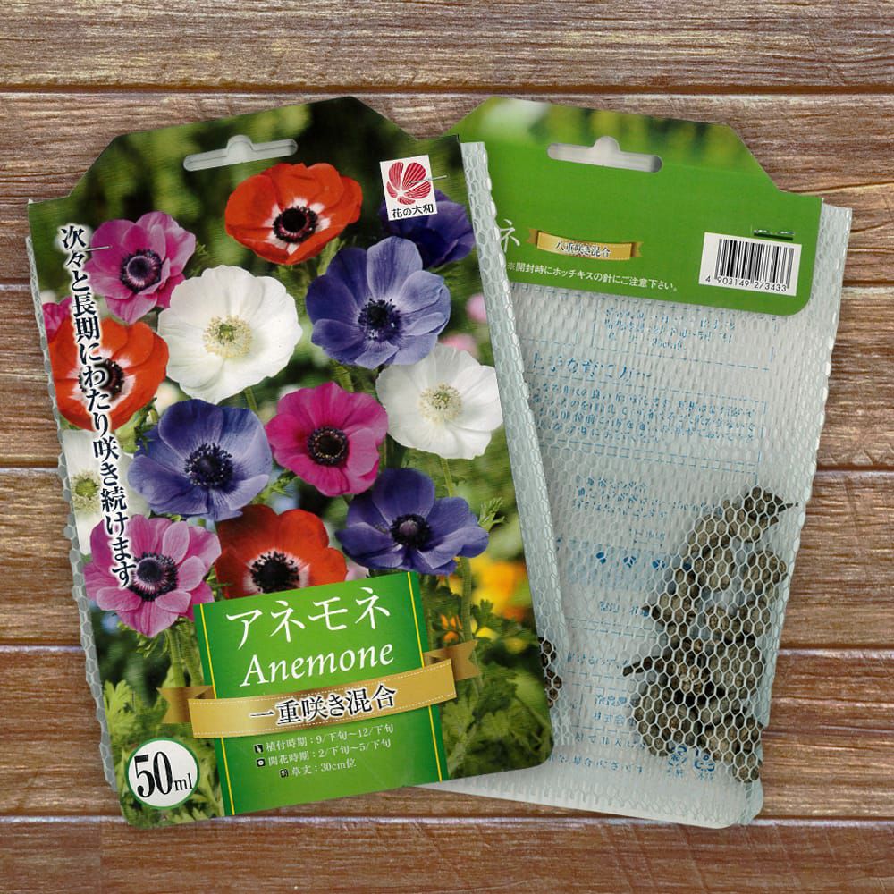 新品　カナダ産　アネモネ イチリンソウ　5株位　秋まで次々咲きます 新品 カナダ産 アネモネ イチリンソウ 5株位 秋まで次々咲きます