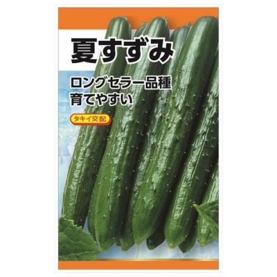 きゅうり 【タキイ交配 夏すずみ】 種・小袋 （1ml） F1（一代交配種）