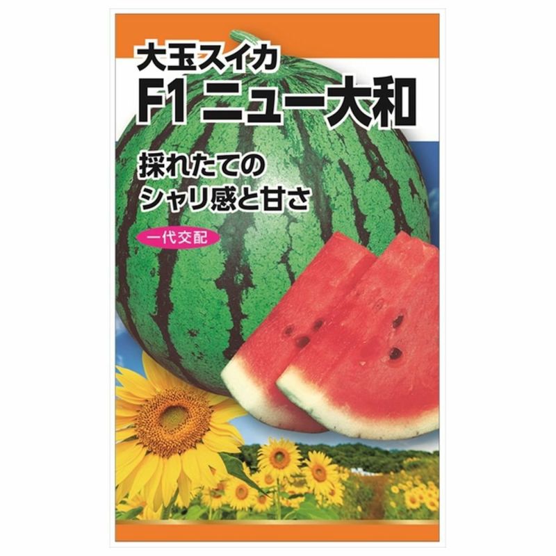 000000083191-01-l.jpg?t=