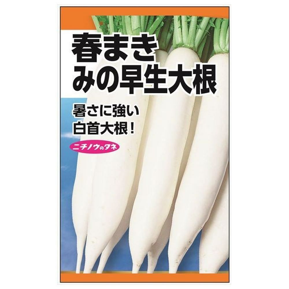 大根 かいわれ大根の通販 苗木部 By 花ひろばオンライン
