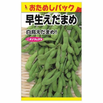 そら豆] 陵西一寸 230粒 ヴィルモランみかど(野菜種/そら豆