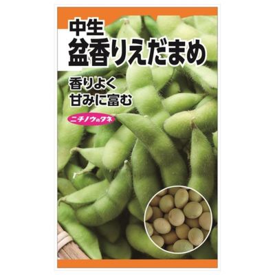 枝豆 【盆香りえだまめ(中生)】 種・小袋 （20ｍｌ） 固定種 | 苗木部 本店 By 花ひろばオンライン