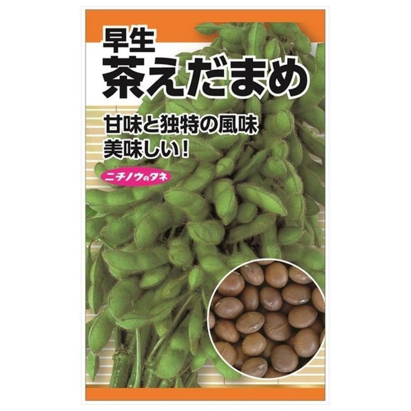 000000083233-01-l.jpg?t=