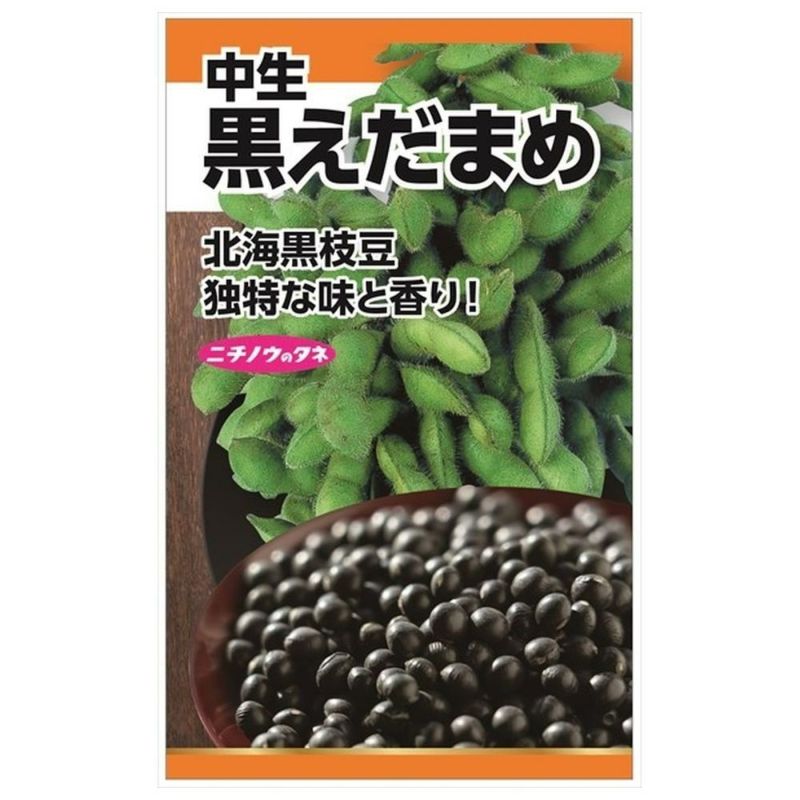 000000083234-01-l.jpg?t=