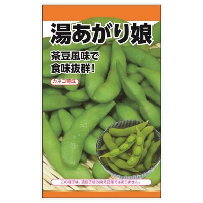 枝豆 【湯あがり娘】 種・小袋 （40粒） 選抜採種育成種
