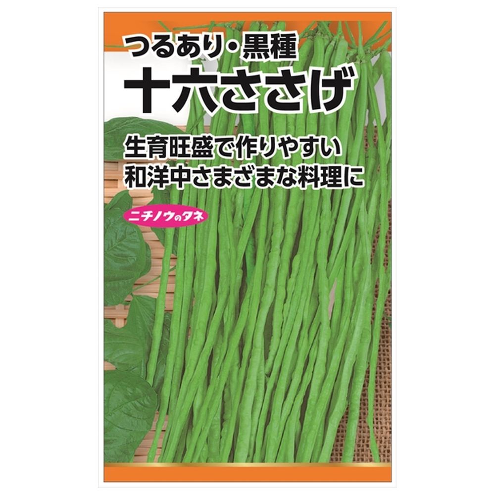 ササゲ 十六ささげ 苗 販売 苗木部 By 花ひろばオンライン