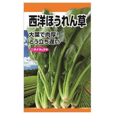 春菊 【大葉しゅんぎく】 種・小袋 （20ml） 固定種 | 苗木部 本店 By 花ひろばオンライン