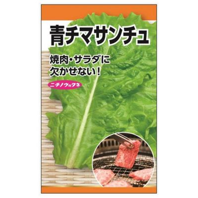 サニーレタス様   専用出品 Amazon | トーホク サニーレタス | 野菜