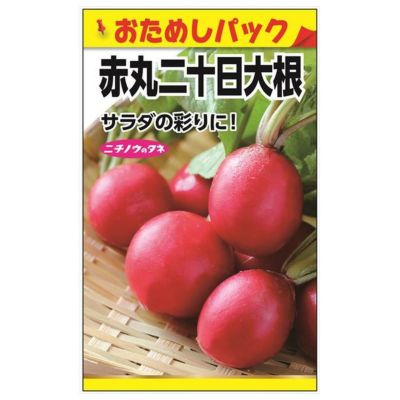 ゴデチヤ種子80粒 ゴデチア ゴデチャ たね タネ 種 ありがたく