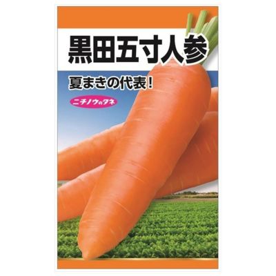 定率割引 往復 000000084283-01-m.jpg?t= ベース