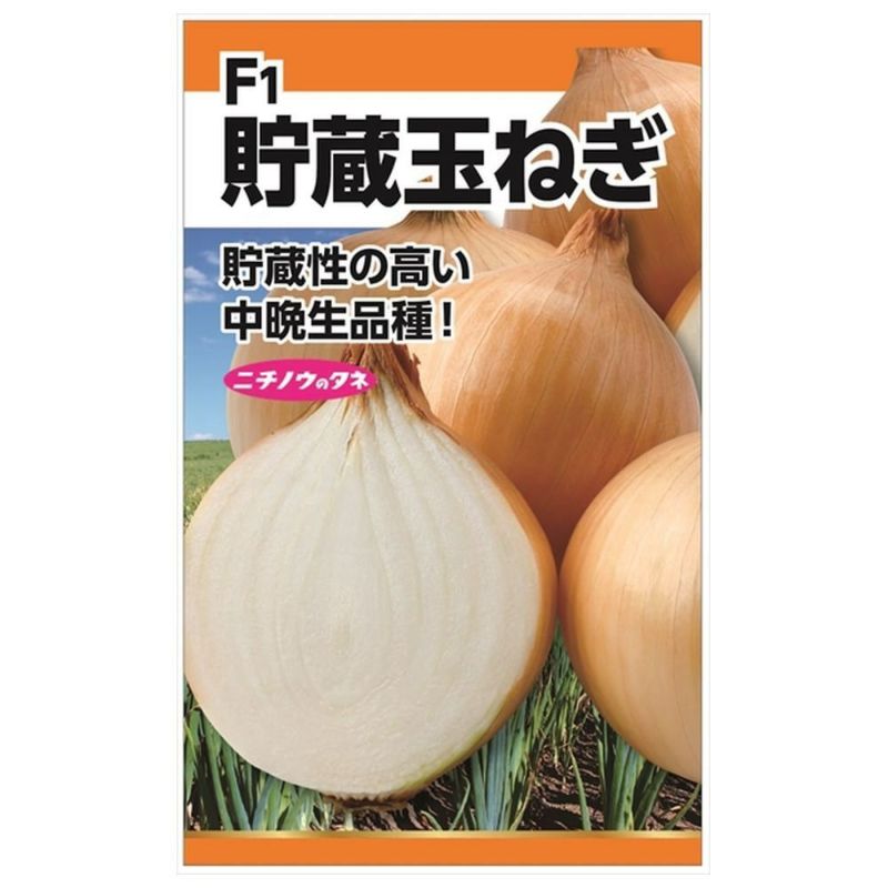 タマネギ マルトネットスーパー店 / 国内産 たまねぎ 1個