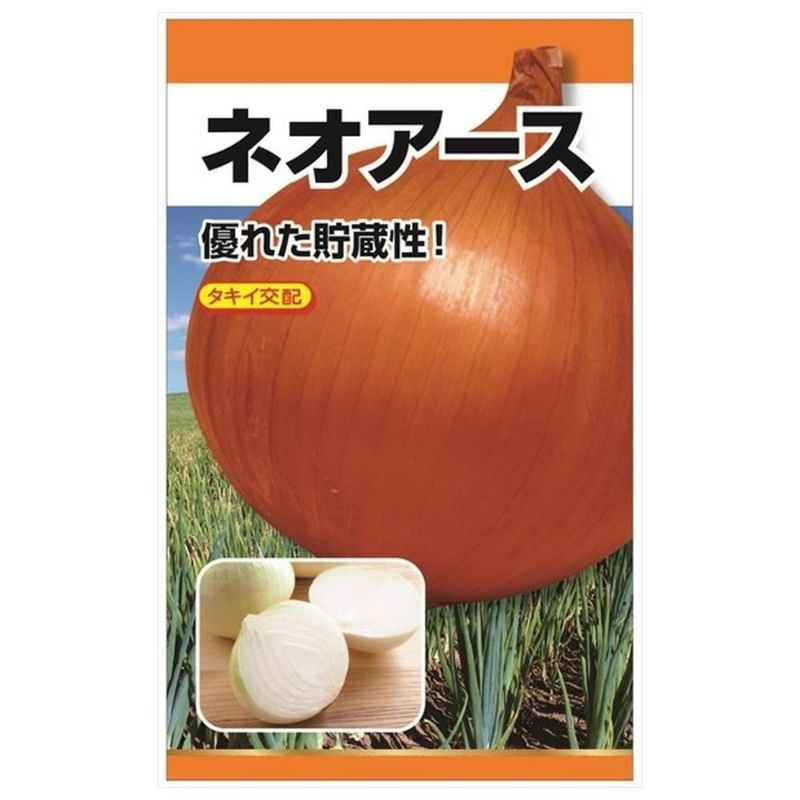 貯蔵性優れる、中晩生種！ たまねぎ 【タキイ交配 ネオアース