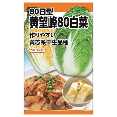 白菜 F1 耐病郷秋 50日白菜 | 花＆グリーン 通販 | ホームセンターのカインズ